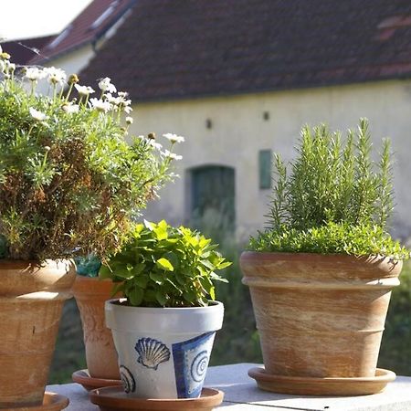 Ferienwohnung Sachsenberg Keine Monteure Hadersdorf am Kamp 외부 사진